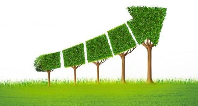 深圳長石新能源 引領(lǐng)綠色革命，共創(chuàng)可持續(xù)未來